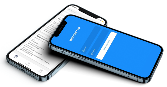 Мобильное приложение «Инспектор»
