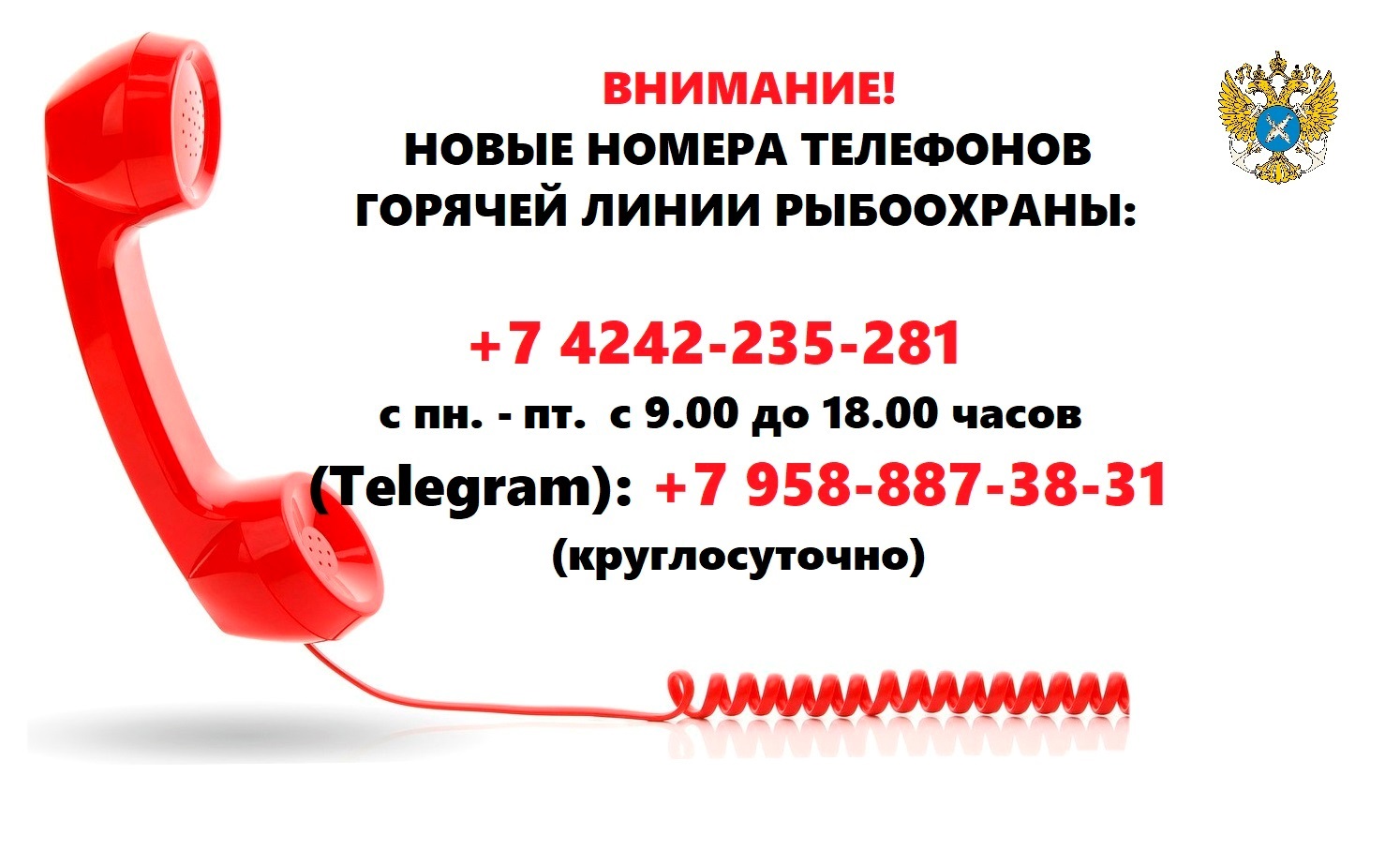 ВНИМАНИЕ! НОВЫЕ НОМЕРА ТЕЛЕФОНОВ ГОРЯЧЕЙ ЛИНИИ РЫБООХРАНЫ