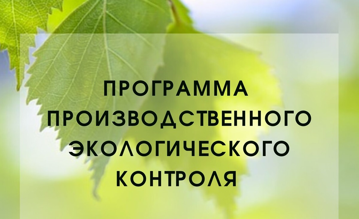 Требования к содержанию программы производственного экологического контроля за влиянием хозяйственной и иной деятельности на состояние водных биологических ресурсов и среды их обитания