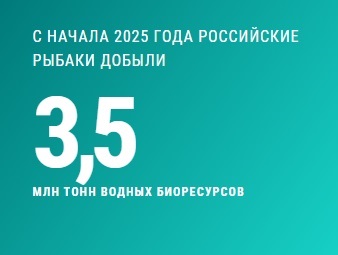 1234.jpg