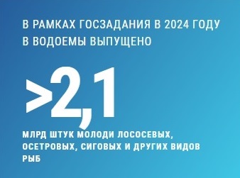 123.jpg