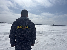 Показатели контрольно-надзорной деятельности Сахалино-Курильского территориального управления Росрыболовства