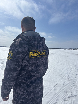 Показатели контрольно-надзорной деятельности Сахалино-Курильского территориального управления Росрыболовства