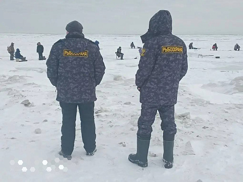 Показатели контрольно-надзорной деятельности Сахалино-Курильского территориального управления Росрыболовства