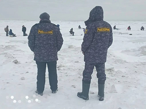 Показатели контрольно-надзорной деятельности Сахалино-Курильского ТУ Росрыболовства                                                                                                                                                                            