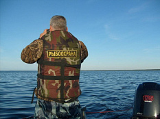 Показатели контрольно-надзорной деятельности Сахалино-Курильского территориального управления Росрыболовства