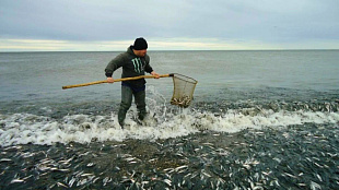 Любительское рыболовство должно быть ответственным!