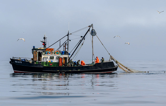 Михаил Мишустин дал поручения по итогам совещания Президента с членами Правительства о развитии рыбохозяйственного комплекса