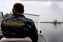 Показатели контрольно-надзорной деятельности Сахалино-Курильского территориального управления Росрыболовства