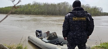 Показатели контрольно-надзорной деятельности Сахалино-Курильского территориального управления Росрыболовства