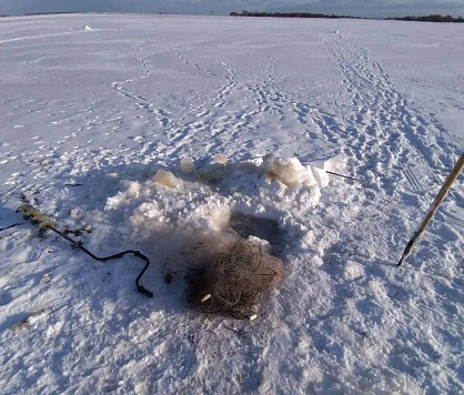  Контроль за соблюдением правил рыболовства: инспекторы активно борются с браконьерами