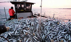 О возможности осуществления промышленного рыболовства в районе регулирования ЮТО