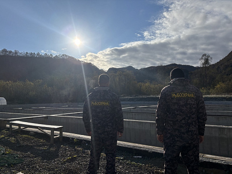 Показатели контрольно-надзорной деятельности Сахалино-Курильского территориального управления Росрыболовства