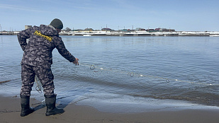 Показатели контрольно-надзорной деятельности Сахалино-Курильского территориального управления Росрыболовства