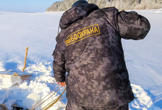 Показатели контрольно-надзорной деятельности Сахалино-Курильского территориального управления Росрыболовства