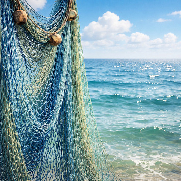 Внимание, любители рыбалки: важная информация о регистрации сетных орудий лова!