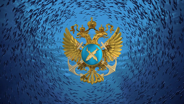 Решение комиссии по регулированию добычи (вылова) анадромных видов рыб в Сахалинской области от 06.06.2025 № 9
