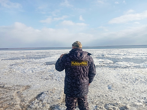 Показатели контрольно-надзорной деятельности Сахалино-Курильского территориального управления Росрыболовства