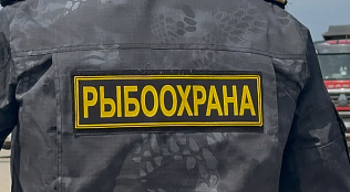 Итоги работы рыбоохраны за неделю                        