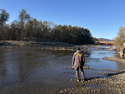 Показатели контрольно-надзорной деятельности Сахалино-Курильского территориального управления Росрыболовства
