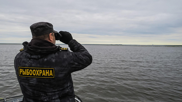 Показатели контрольно-надзорной деятельности Сахалино-Курильского территориального управления Росрыболовства