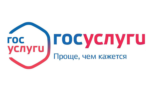 Быстрая регистрация сетных орудий лова через Госуслуги: всего несколько минут!